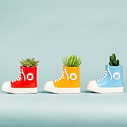 All plant: maceta original en forma de zapatilla