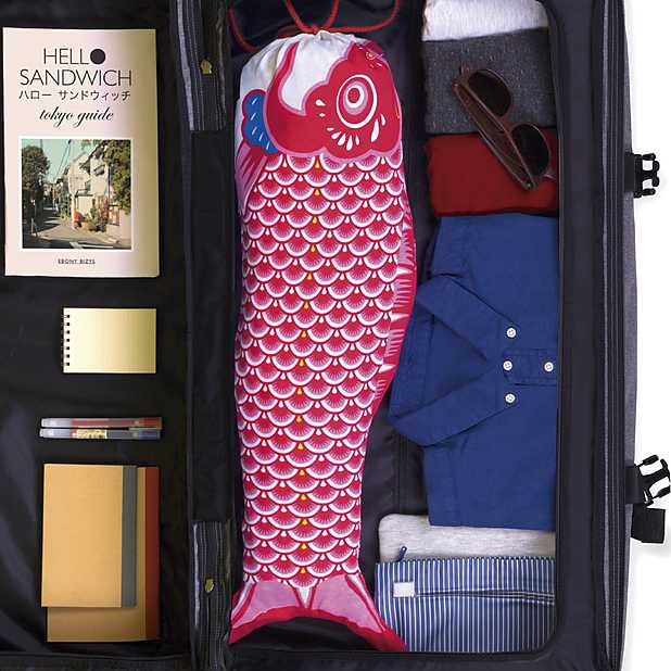 4 bolsas de viaje, impermeable, bolsa con cordón, para ropa sucia, ropa  interior, bolsa de maquillaje, …