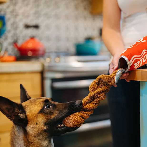 Juguete para perro. Colecci n comida. Curiosite