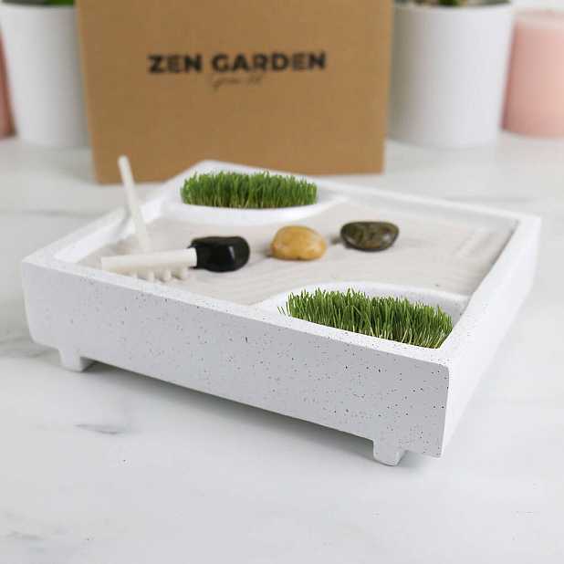 Mini jardin Zen 