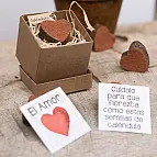 Caja con un corazón de semillas de caléndula