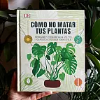 Consejos y cuidados para que tus plantas de interior sobrevivan