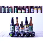 Pack de nueve botellines de cinco tipos de cervezas IPA artesanas 