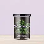 Huerto de cocina para cultivar romero