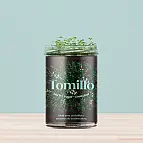 Huertos de cocina para cultivar tomillo