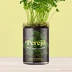 Huertos de cocina para cultivar perejil