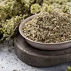 Oregano