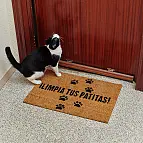 Recuerda al mundo que antes de entrar en tu casa hay que limpiarse bien las patitas