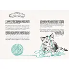 Y consejos del mundo del gato