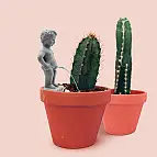 Decoración para macetas: Pee My Plants