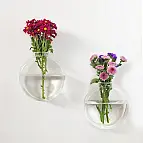 Perfectos para flores frescas, secas o esquejes