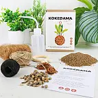 Haz tu propia kokedama