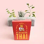 Kit de cultivo Thai: cilantro, guindilla y cebollino