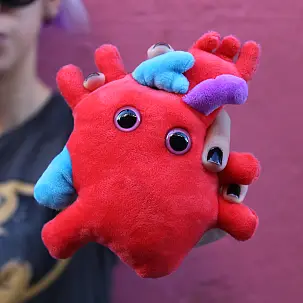 Peluche con forma de corazón anatómico