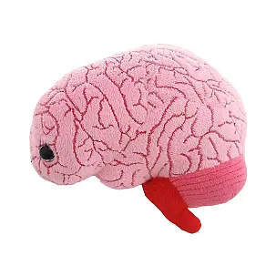 Peluche con forma de cerebro