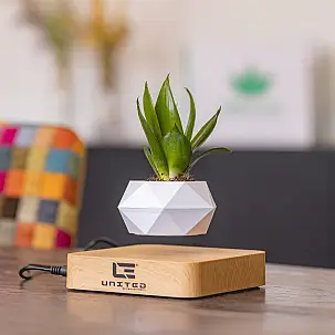 Maceta flotante para mini plantas