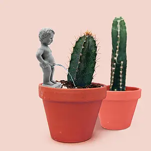 Decoración para macetas: Pee My Plants