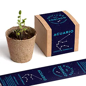 Kits de autocultivo del Zodiaco