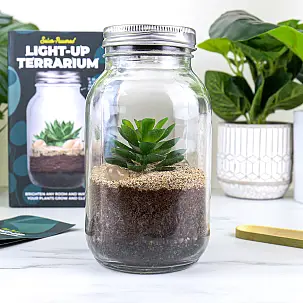 Kit para hacer un terrario con luz