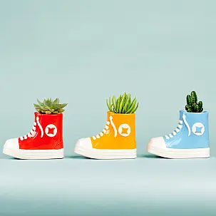 All plant: maceta original en forma de zapatilla