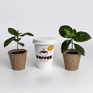 Kit de cultivo de café