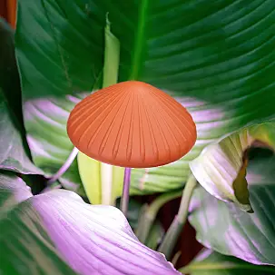 Luz para plantas en forma de seta