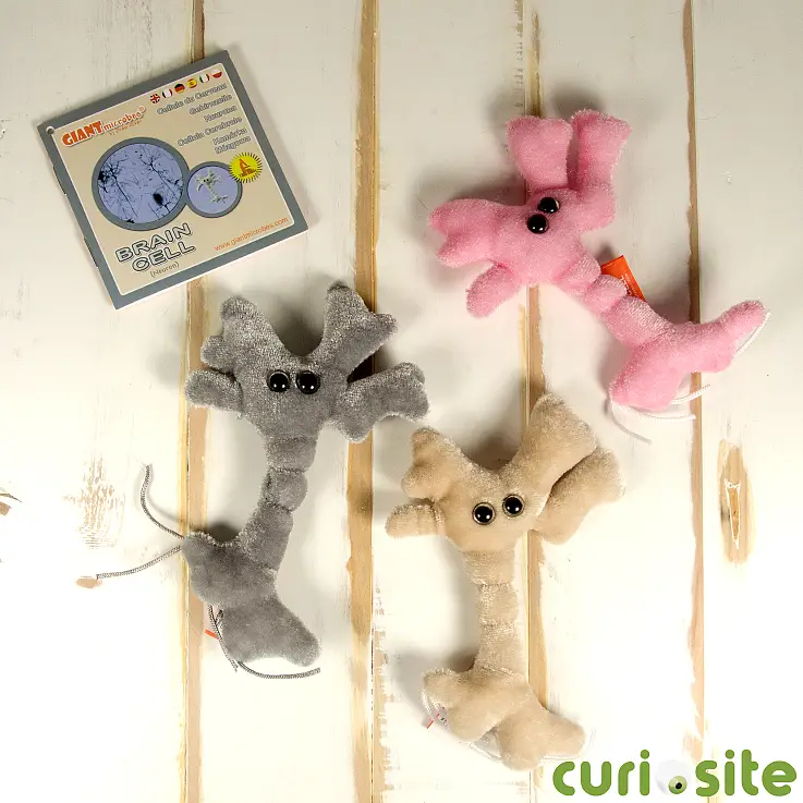 Peluche neurona on sale