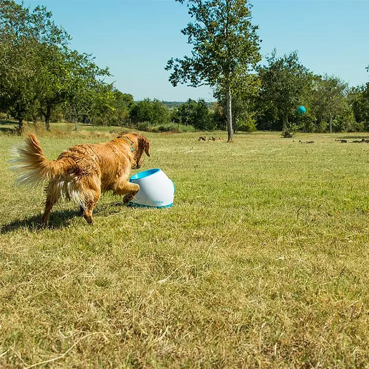 Lanza pelotas de tamaño tenis