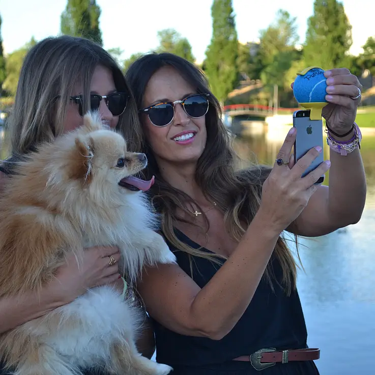 Capta el foco natural de atención de tu mascota