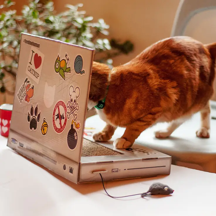 Clavará sus uñas en el teclado, no en tus butacas