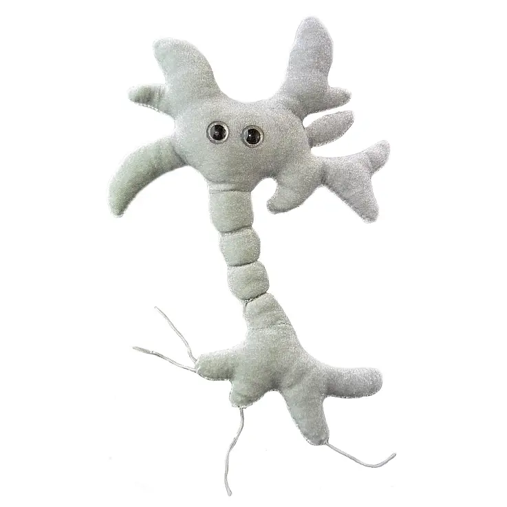 Peluche de una célula cerebral