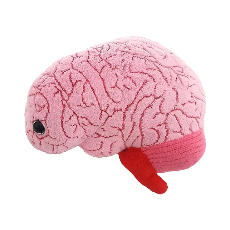 ¡Achucha este cerebro de peluche!