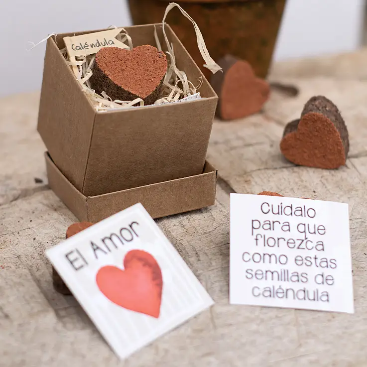 Caja con un corazón de semillas de caléndula