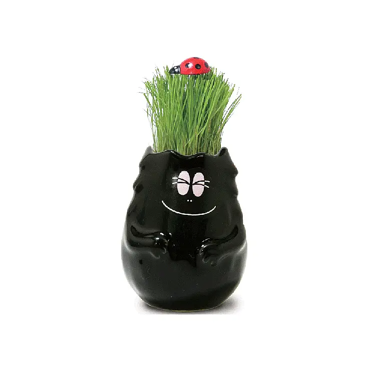 Macetero Barbapapa Negro