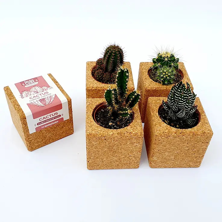 El regalo perfecto para los amantes de las plantas.