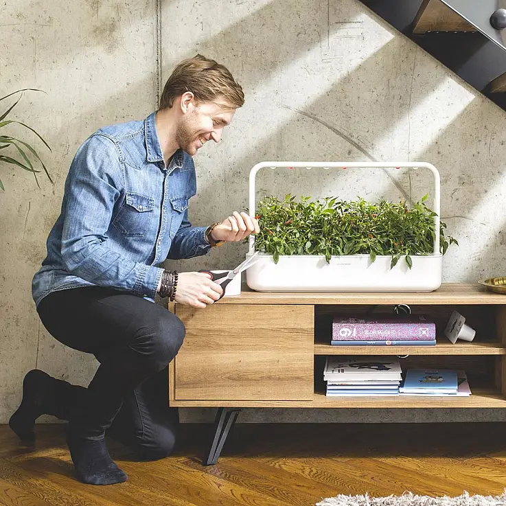 Podrás cultivar plantas en casa de forma muy sencilla, rápida y con éxito asegurado.