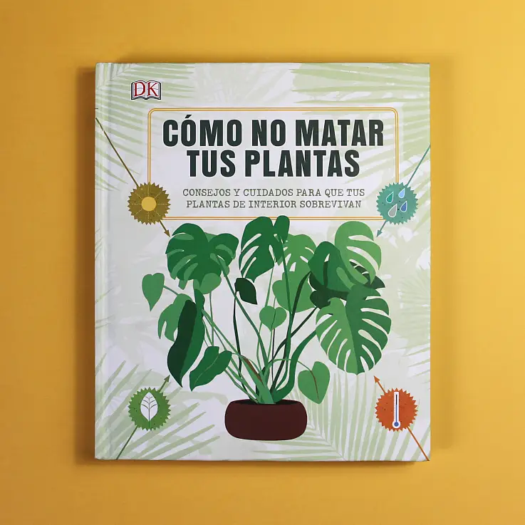 Una guía para aprender a cuidar tus plantas