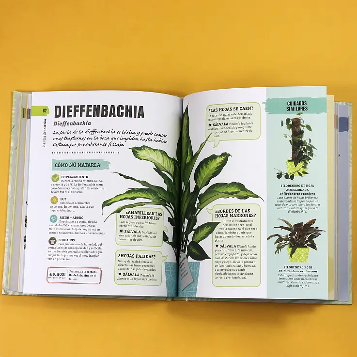 El regalo perfecto para los amantes de las plantas