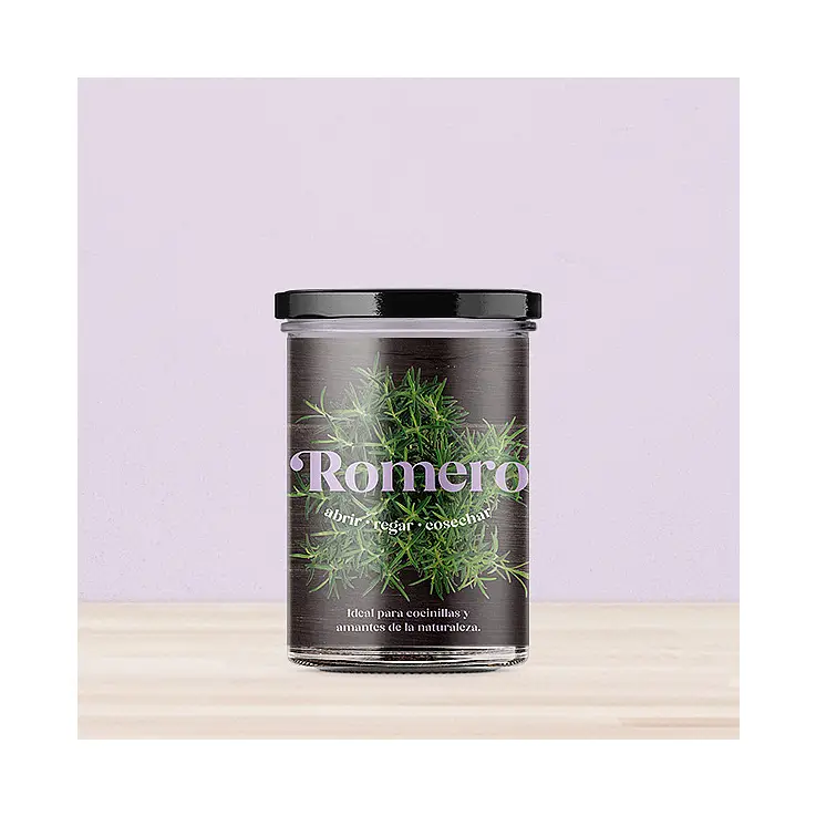 Huerto de cocina para cultivar romero