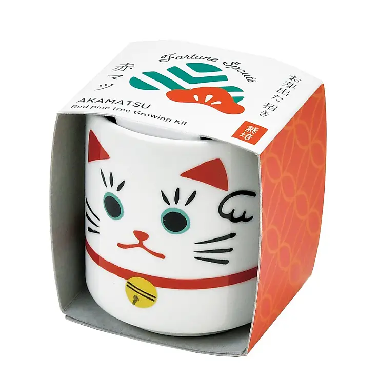 Una mini maceta con un gato de la suerte japonés estampado