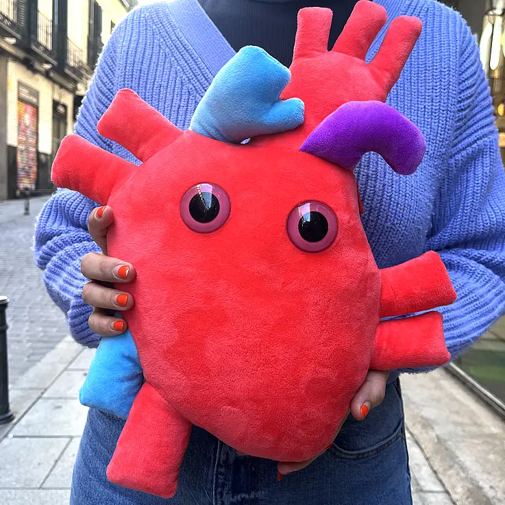 Peluche con forma de corazón anatómico 