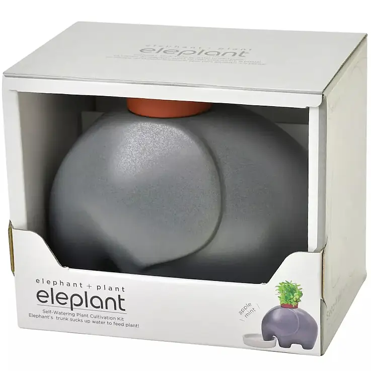 Elefantito gris con semillas de menta manzana