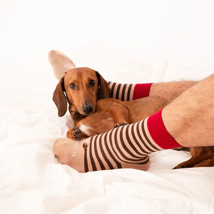 Declara tu amor con estos calcetines