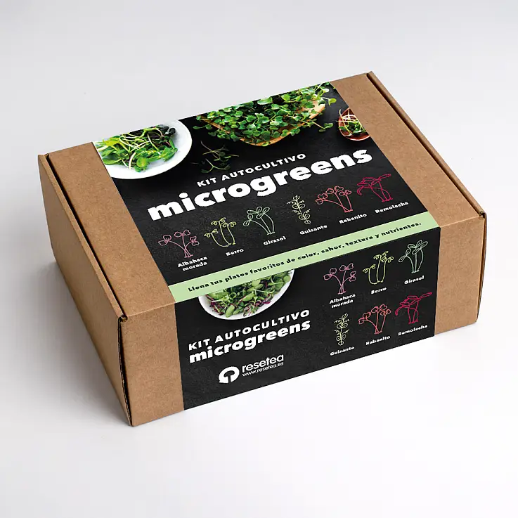  Kit de autocultivo de microgreens