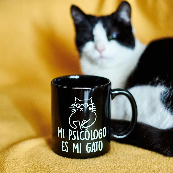 Una taza para locos de los gatos