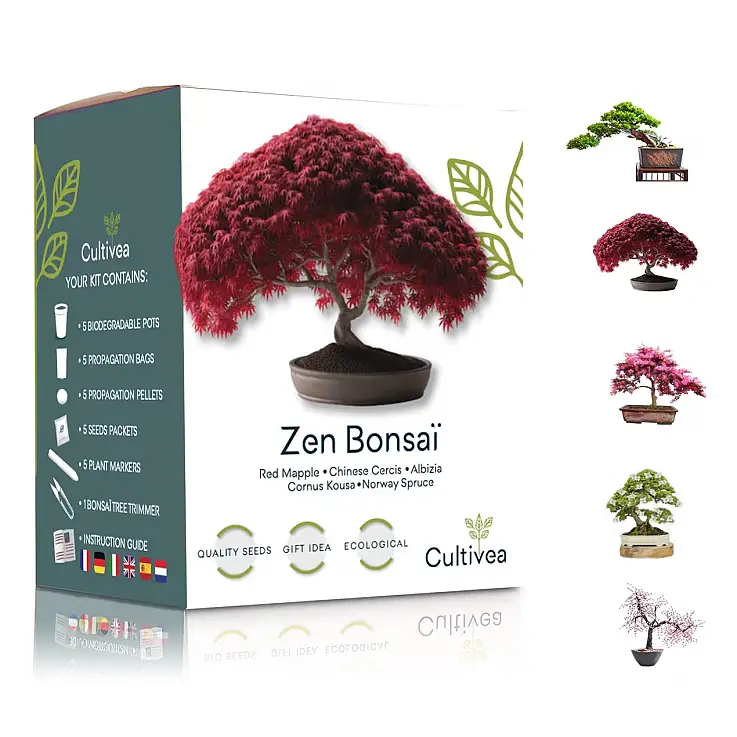 Kit para cultivar 5 variedades de bonsáis