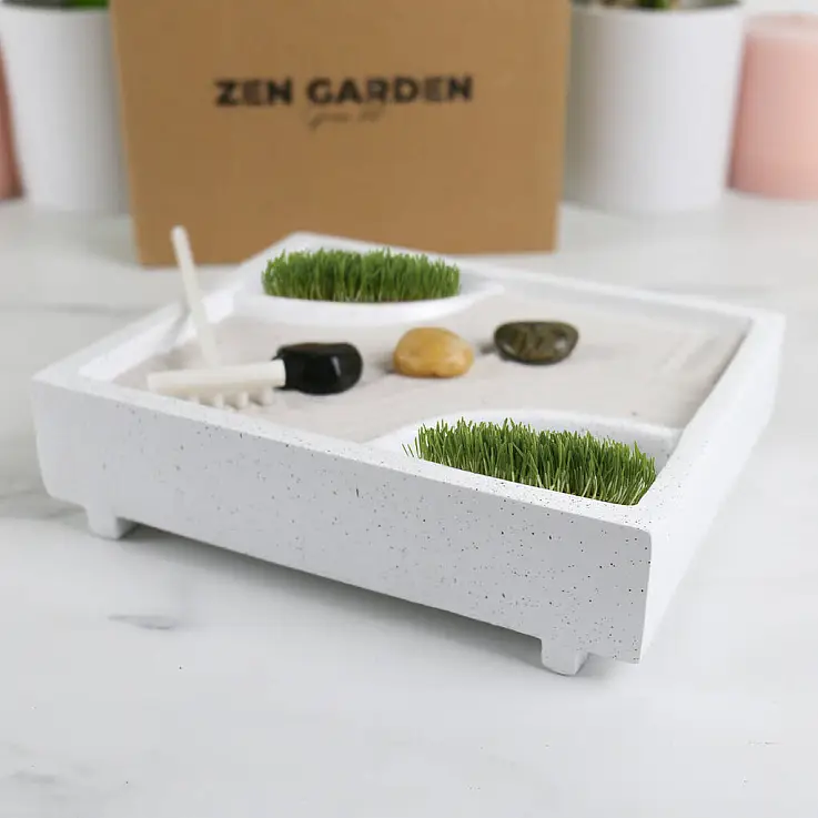 kit de cultivo mini jardín zen