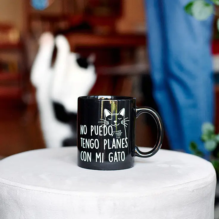 Una taza para personas caseras y amantes de los gatos