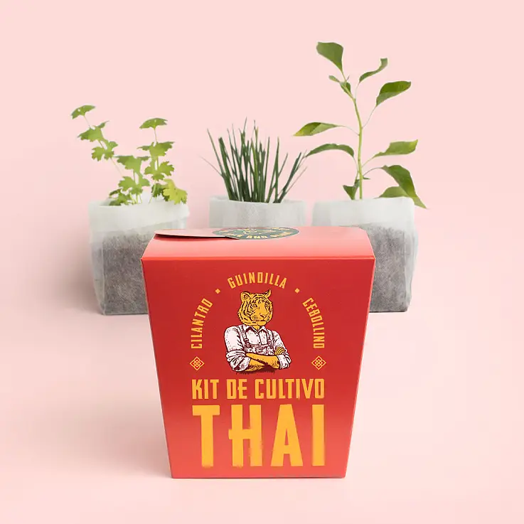 Kit de cultivo Thai: cilantro, guindilla y cebollino